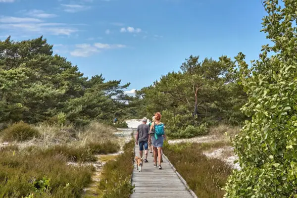 Højlyngsstien