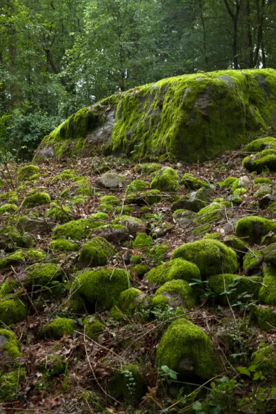 Rokkestenen - Bornholm